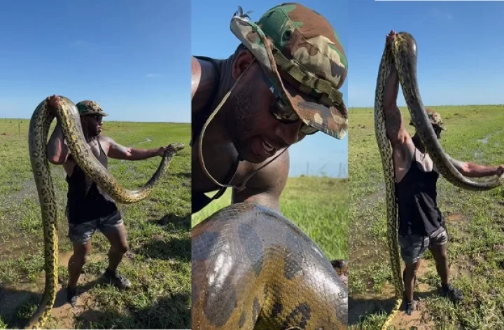 Viral video anaconda anaconda snake latest news news