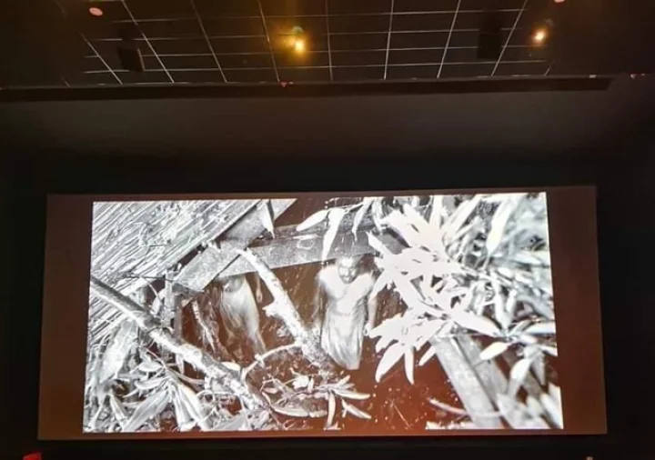 Bramayugam, Mammootty, Bramayugam Review