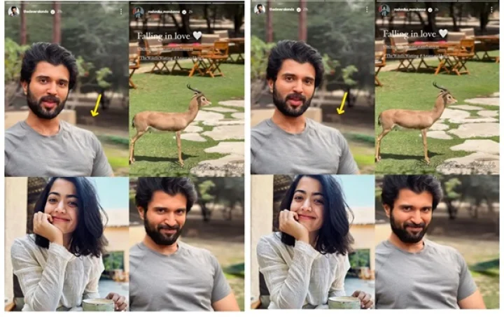 This is the evidence! rashmika mandanna vijay devarakonda are in love