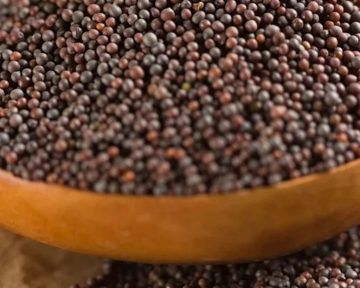Mustard Health Benefits: എന്ത് കറി വയ്ക്കുമ്പോഴും കടുക് ചേർക്കുക; ആരോഗ്യത്തിനു നല്ലതാണ്