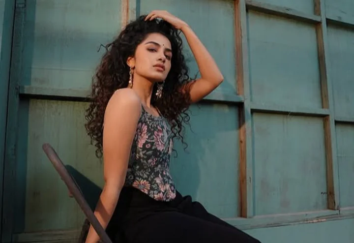 വിവാഹനിശ്ചയത്തിൽ നിന്നും പിന്മാറിയത് ഞാൻ തന്നെ,  അഭിനയം നിർത്താൻ പറഞ്ഞു,എന്നെ നിയന്ത്രിക്കാനാണ് ശ്രമിച്ചത് :അനുപമ പരമേശ്വരൻ