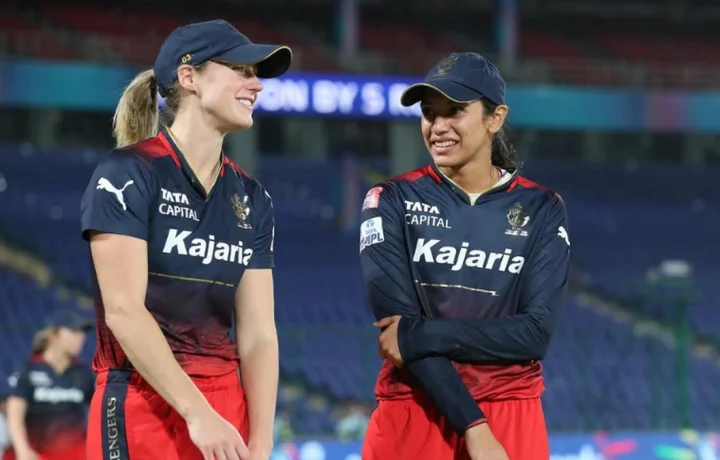 Ellyse perry, WPL, Cricket News, RCB,എല്ലിസ് പെറി, വനിതാ പ്രീമിയർ ലീഗ്,ക്രിക്കറ്റ് വാർത്ത, ആർസിബി