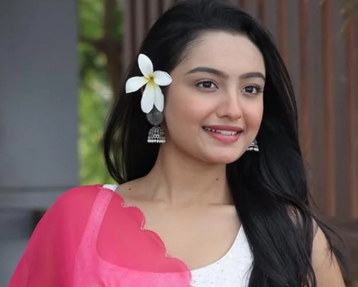 Sanchita Ugale, TV Actress Suicide, Sanchita Ugale Suicide, Bollywood