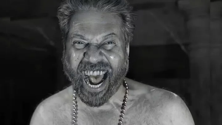മികച്ച നടൻ: മമ്മൂട്ടിയല്ല ചാത്തൻ, തീരാത്ത 'അഭിനയ'ജാലം