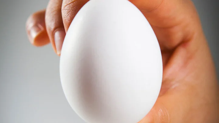 Egg, Egg Thrown to Prime Minister, Egg Thrown Video, Kosovo MP Egg Thrown