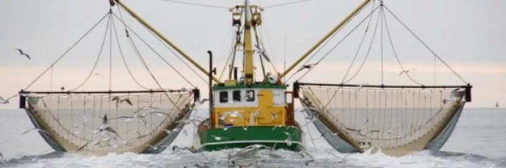 What is Trawling Ban in Kerala