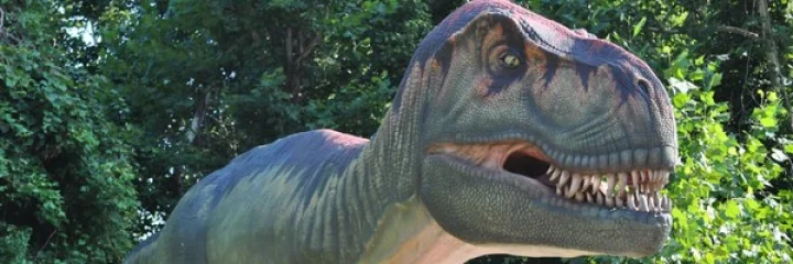 Dinosaur Like Animal Found In Uttarakhand Jaspur