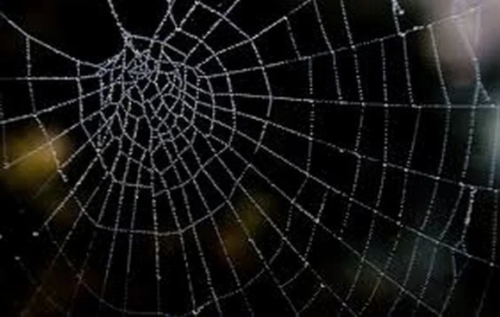 inauspicious sign according to Astrology