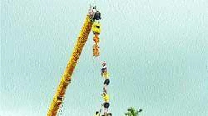 'मॅनेजमेंट' गुरू कृष्ण