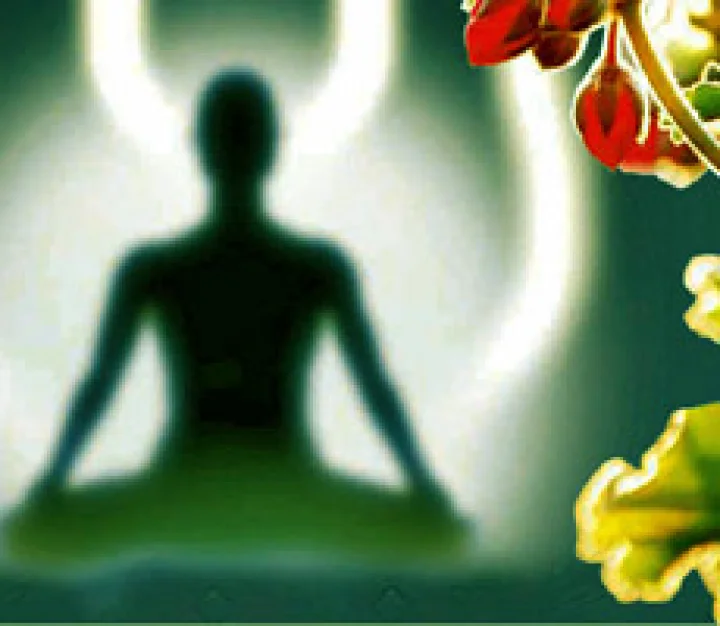 hindu dharma