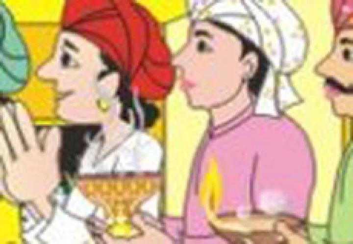 पाहुणे जावई