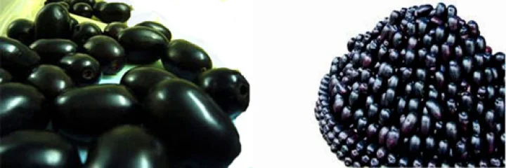 jamun