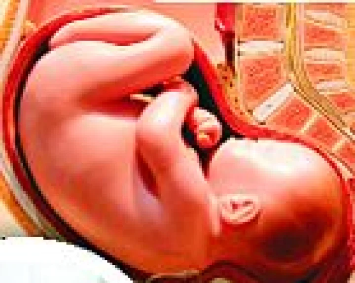 new born baby die