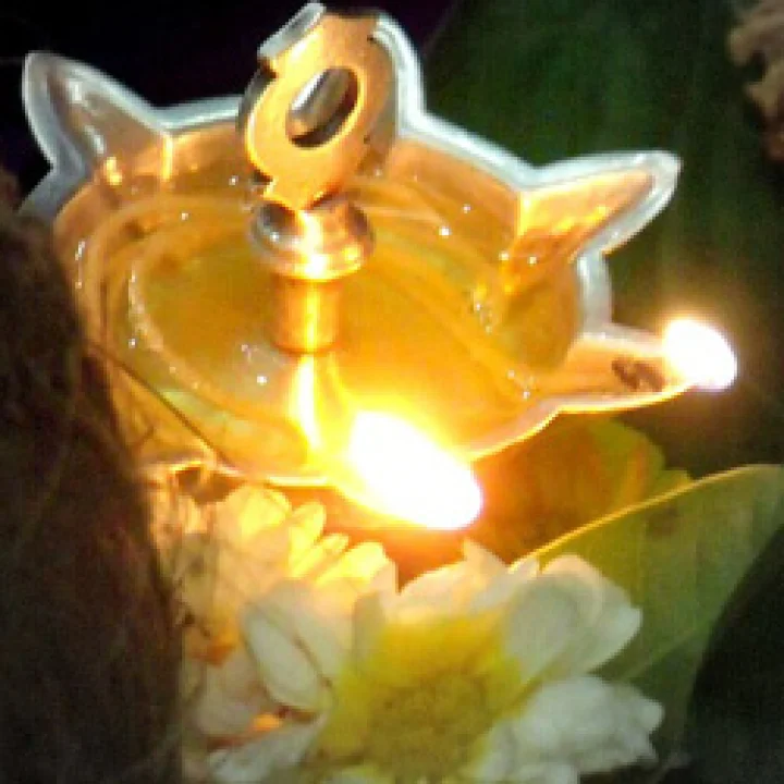 दर्श अमावस्या