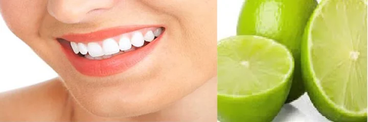 teeth