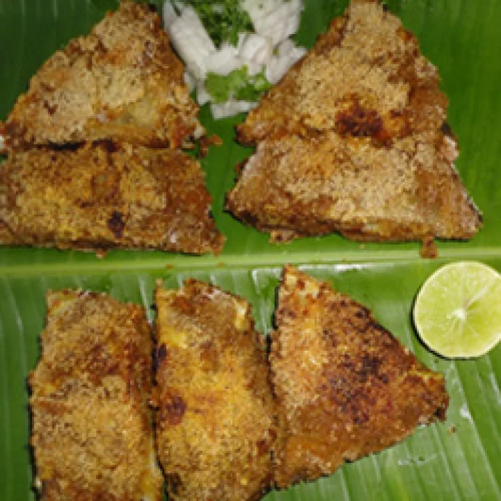 मोटलेचे मासे