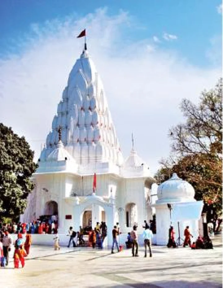 mansa dev