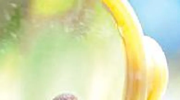 काचेचे तळे...