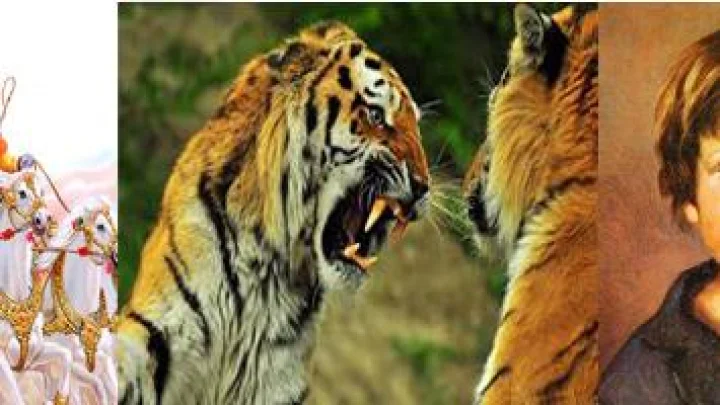 हे 6 फोटो घर आणि दुकानासाठी असतात अशुभ