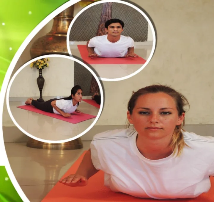 bhujangasana