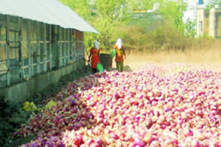 lasalgaon