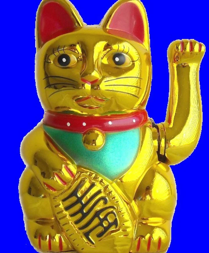 लकी कैट: भाग्याचे अडथळे दूर होतील