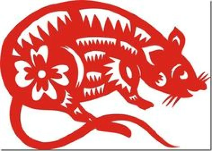 Chinese Astrology 2017