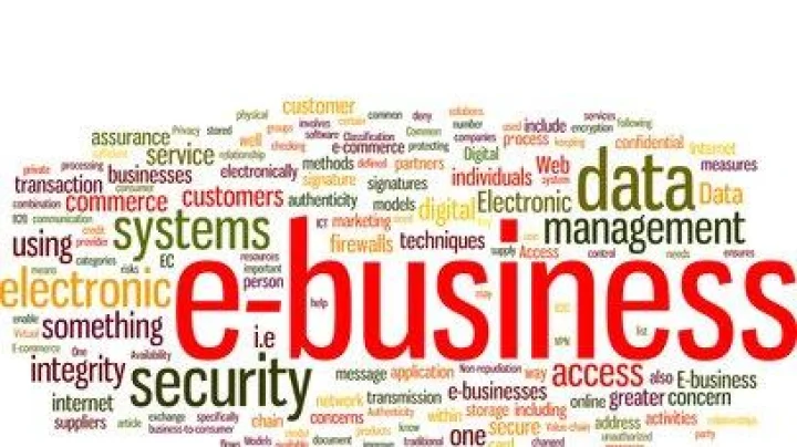 करीअर ई-बिझनेसमधलं