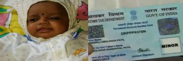 little pancard dharak