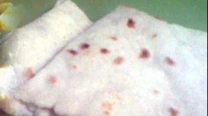 तांदळाच्या पिठाचे थालिपीठ