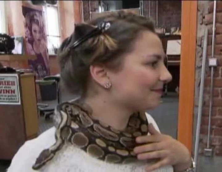 मसाज करणारा अजगर