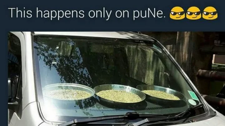 वाळवण पक्ष्यांनी खाऊ नये म्हणून पुणेरी जुगाड