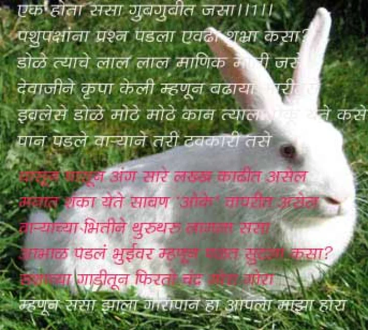 एक होता ससा कथा कविता लहान मुलं