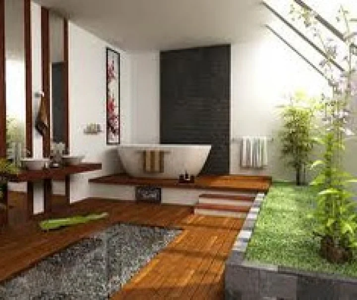 मनिप्लांट आकर्षक मुक्ता घरकुल सल्ला वॉस 