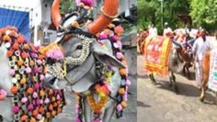 शेतकर्‍यांचा पारंपरिक पोळा