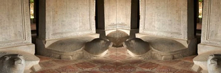 मंदिरात कासव असण्याचे महत्त्व 