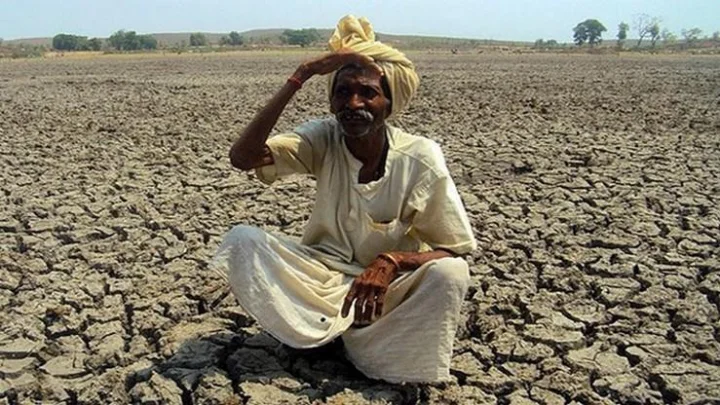 पाऊस नसल्याने शेतकरी बांधवांवर दुबार पेरणीचं संकट