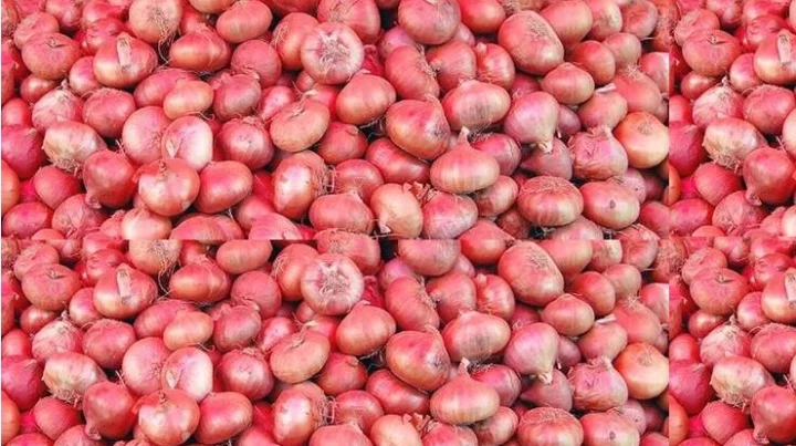 100 kg onion for 50 rupees in Madhya Pradesh
