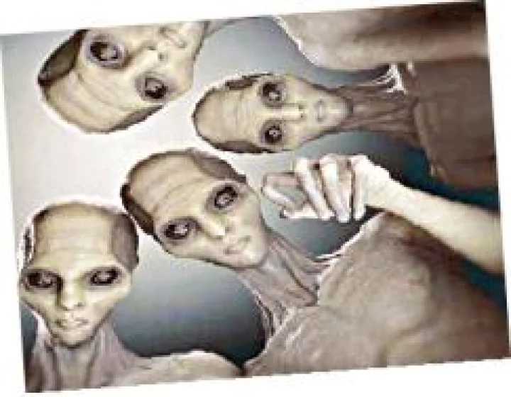 alience