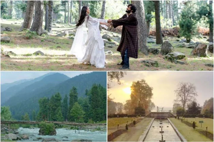 'Laila Majnu' teaser displayed