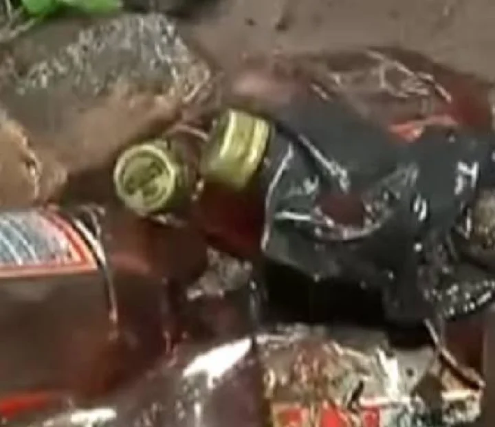 Beer bottles