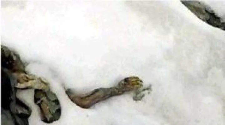 हिमाचल: लाहौलच्या खंमीगर ग्लेशियरमध्ये ट्रेकर्ससह 14 जण अडकले,दोघांचा मृत्यू