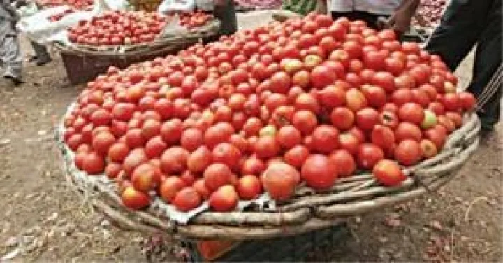 so these hag tomato and potatoes