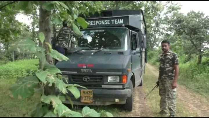 Forest Department Recruitment 2023: वन विभागात बंपर भरती, त्वरा अर्ज करा