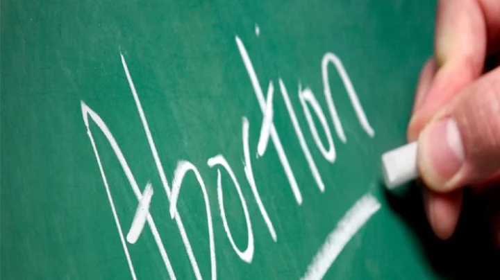 फ्रान्समध्ये गर्भपाताच्या अधिकाराला आता घटनात्मक दर्जा