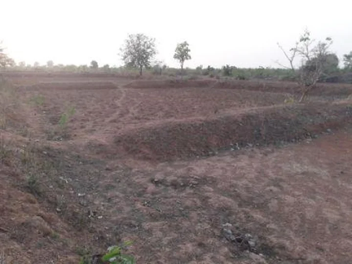Land counting will take place in half an hour