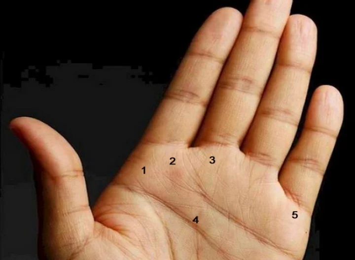 palmistry hand