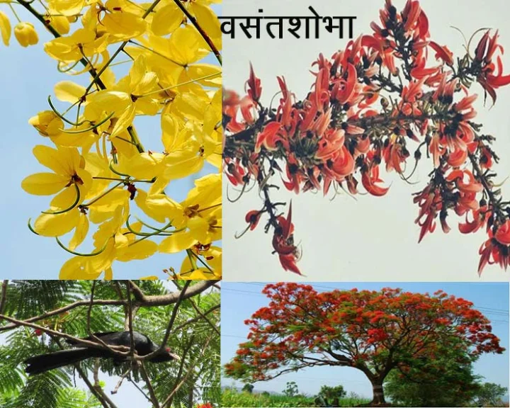वसंतशोभा
