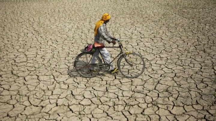 महाराष्ट्राचं वाळवंट होत आहे का? वाळवंटीकरण आणि जमिनीचा ऱ्हास कसा रोखायचा?