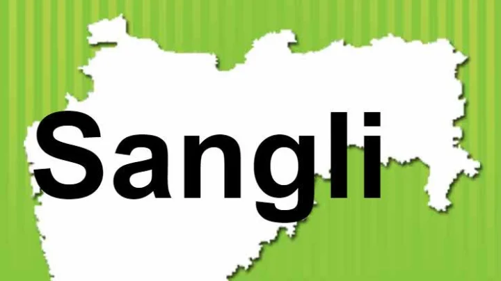 सांगली लोकसभा निवडणूक